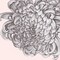 Blush Peony I Poster Print by Eva Watts - Item # VARPDXEW117A